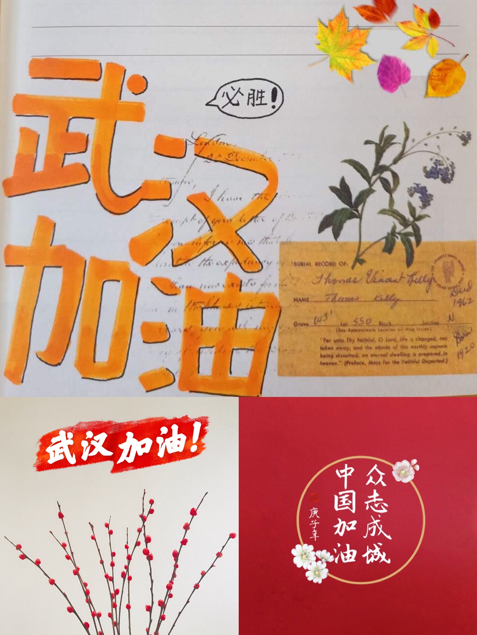 86e016528d764c0e81824fea78ed95ce.jpg 86e016528d764c0e81824fea78ed95ce.jpg